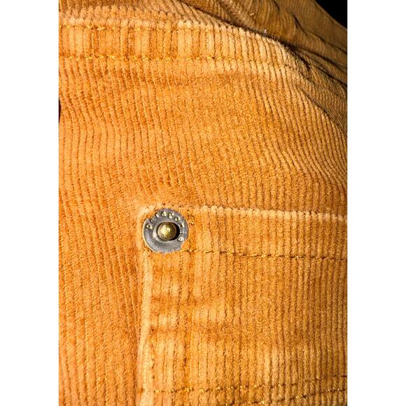 Patagonia Organic Cotton Corduroy Pants Women's 30 Brown Rust Fall Academia - Picture 8 of 8